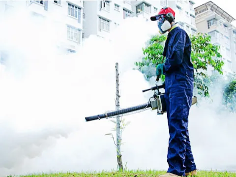  Service Provider of Fumigation Services in Bikaner, Rajasthan, India. 